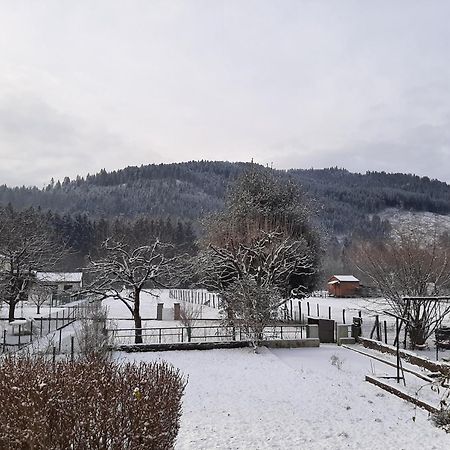 Chez Vovone 3 Etoiles Clevacances Saulxures-sur-Moselotte Luaran gambar