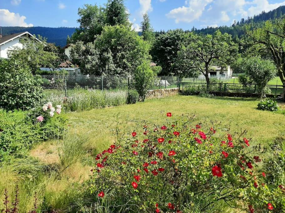 Chez Vovone 3 Etoiles Clevacances Saulxures-sur-Moselotte Luaran gambar