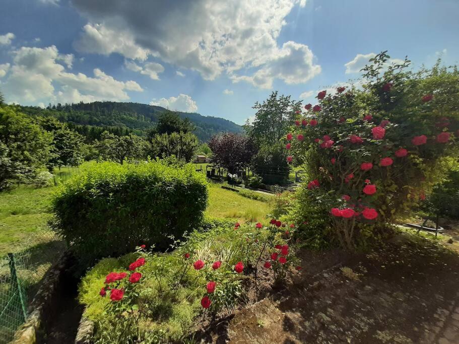 Chez Vovone 3 Etoiles Clevacances Saulxures-sur-Moselotte Luaran gambar