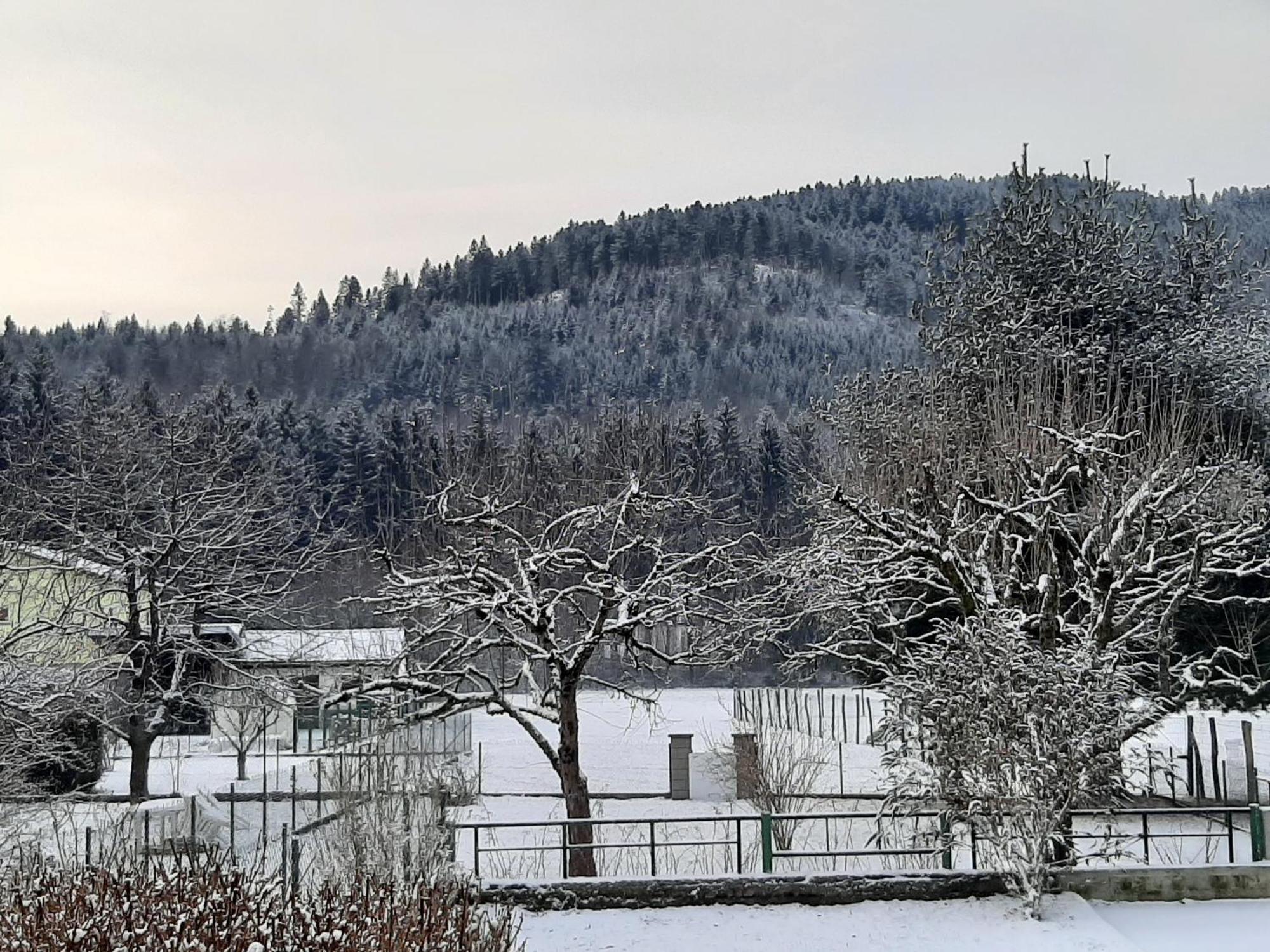 Chez Vovone 3 Etoiles Clevacances Saulxures-sur-Moselotte Luaran gambar