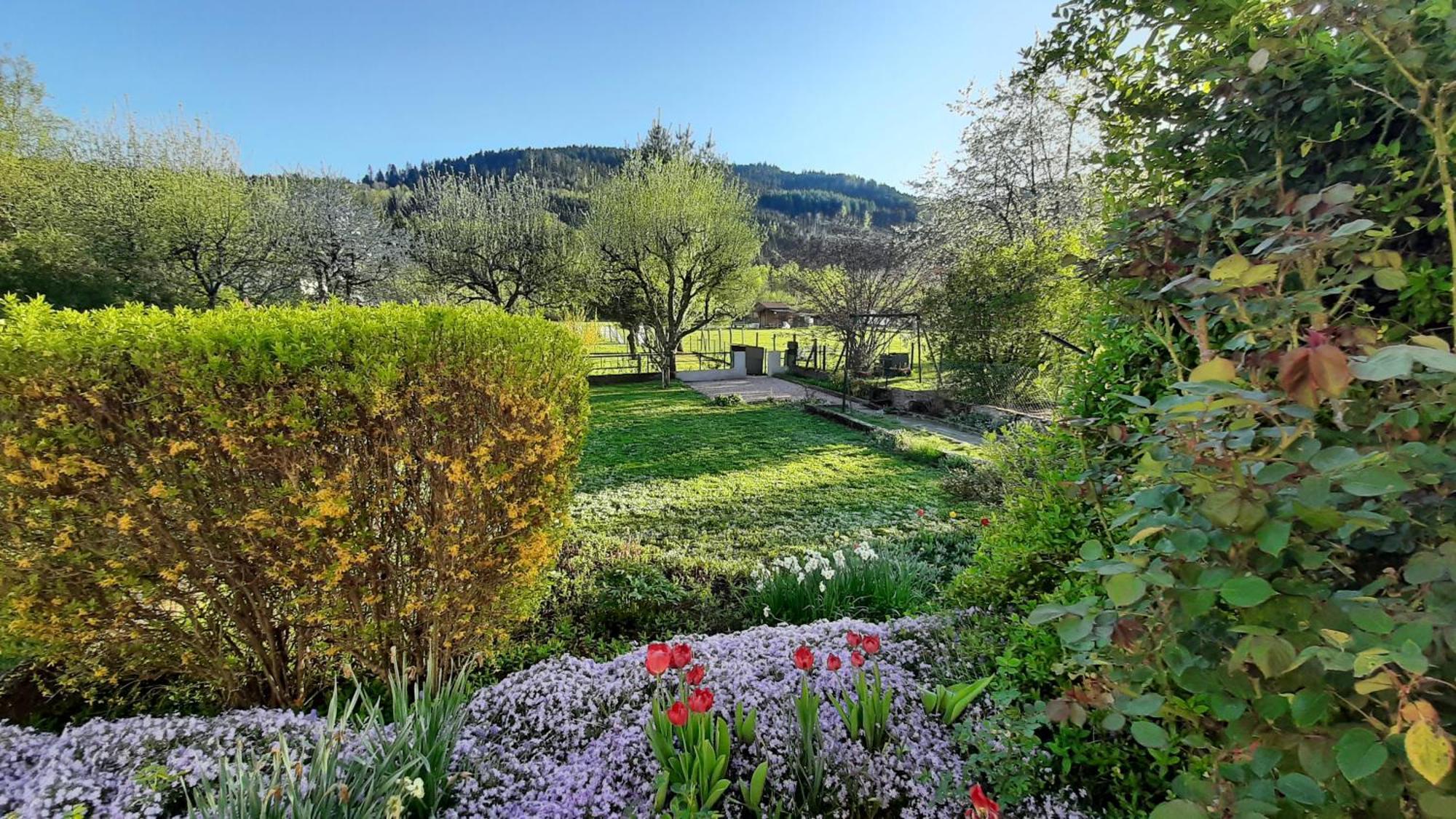 Chez Vovone 3 Etoiles Clevacances Saulxures-sur-Moselotte Luaran gambar