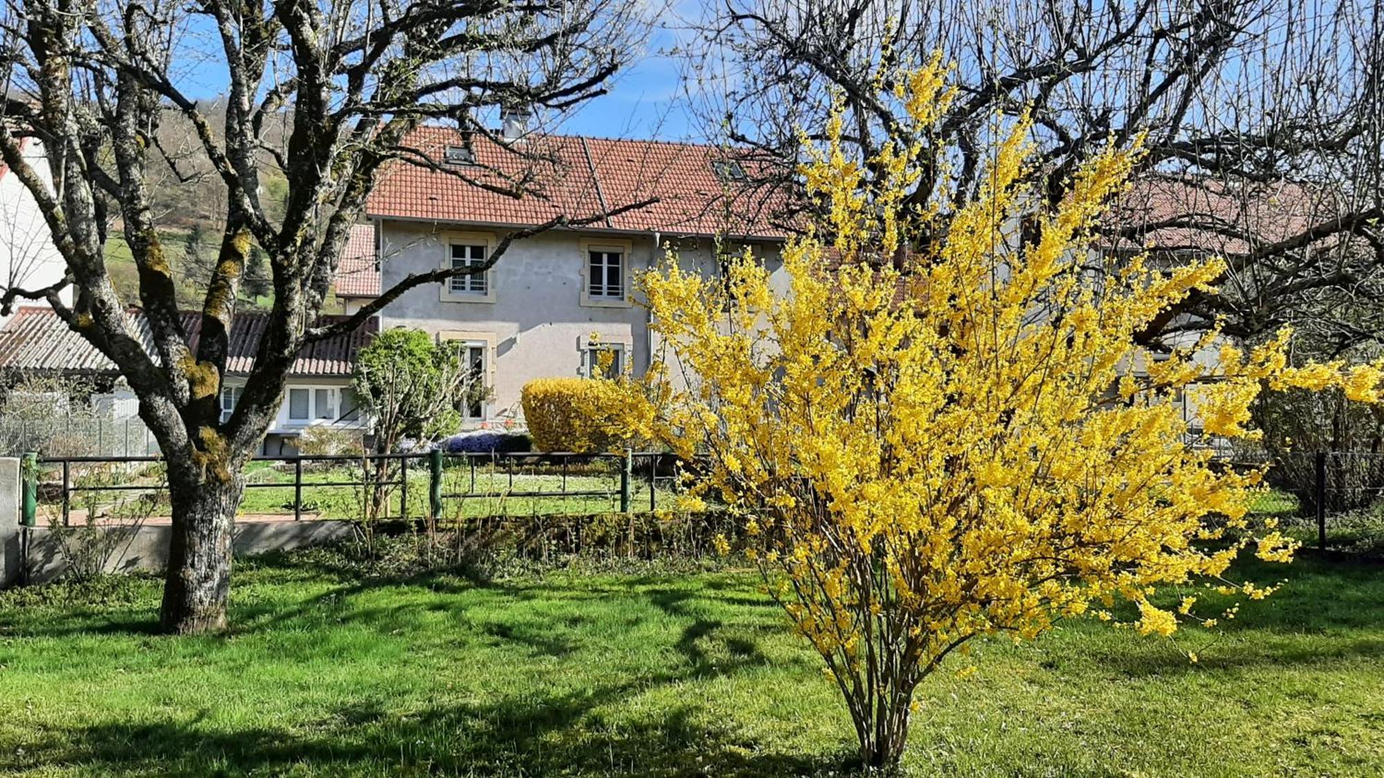 Chez Vovone 3 Etoiles Clevacances Saulxures-sur-Moselotte Luaran gambar