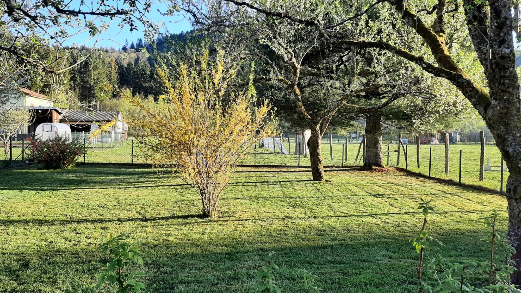 Chez Vovone 3 Etoiles Clevacances Saulxures-sur-Moselotte Luaran gambar